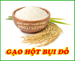 Gạo hột Bụi Đỏ 