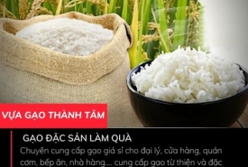 Gạo đặc sản làm quà biếu