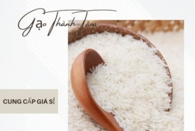 Mua sỉ gạo 64 dứa ở đâu