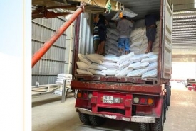 Tuyển đại lý gạo cấp 1 TPHCM