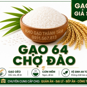 Gạo 64 Chợ Đào