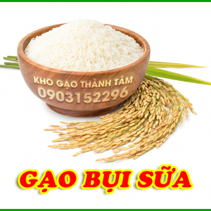 Gạo bụi sữa 