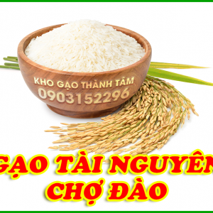Gạo Tài Nguyên Chợ Đào 