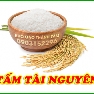 Tấm Tài Nguyên 