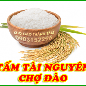 Tấm Tài Nguyên 